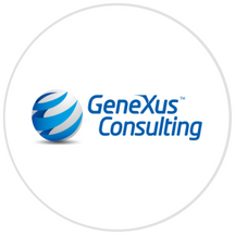 Logo GeneXus Consulting