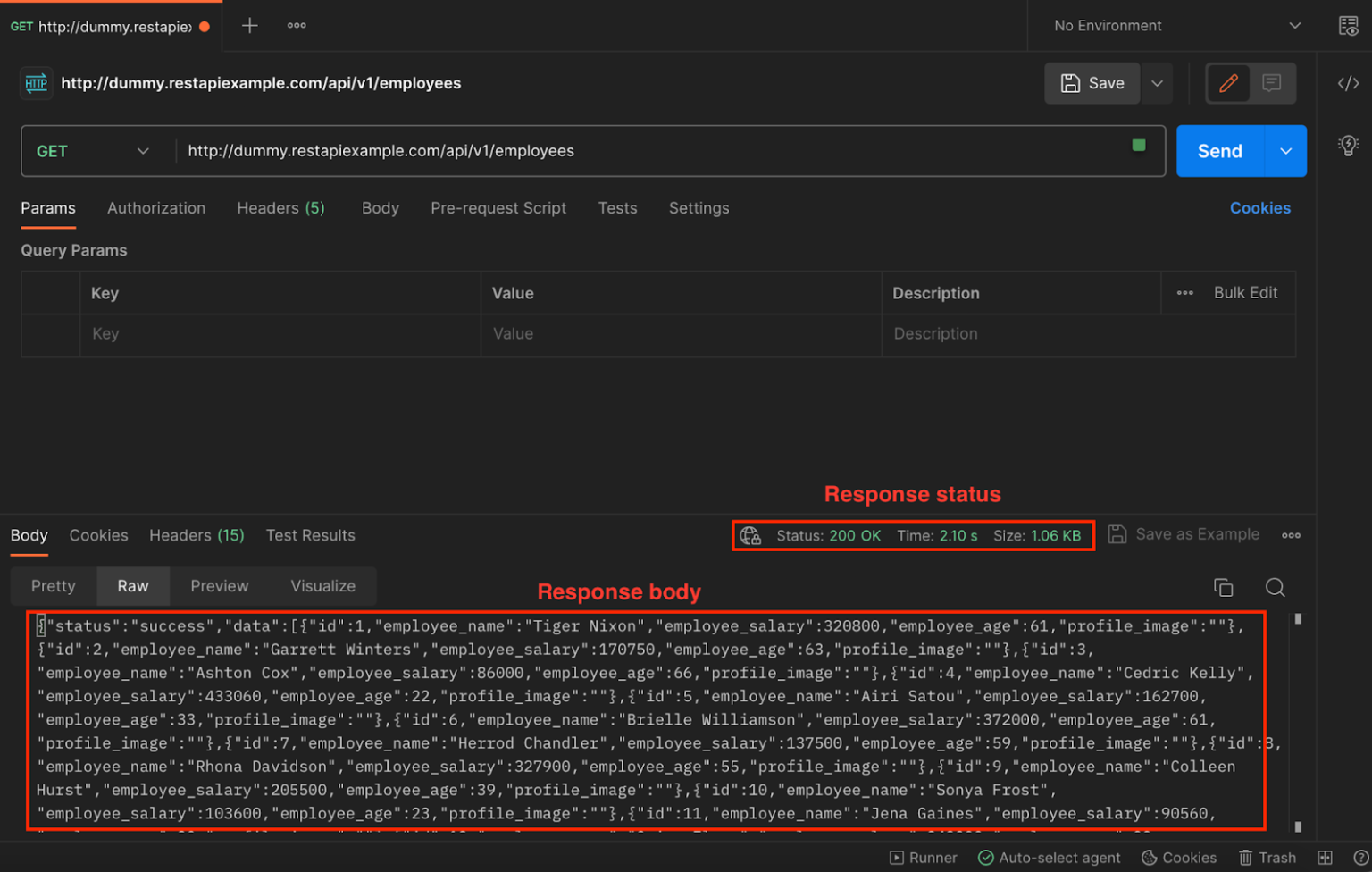 Comprendiendo las Técnicas de Pruebas de API REST