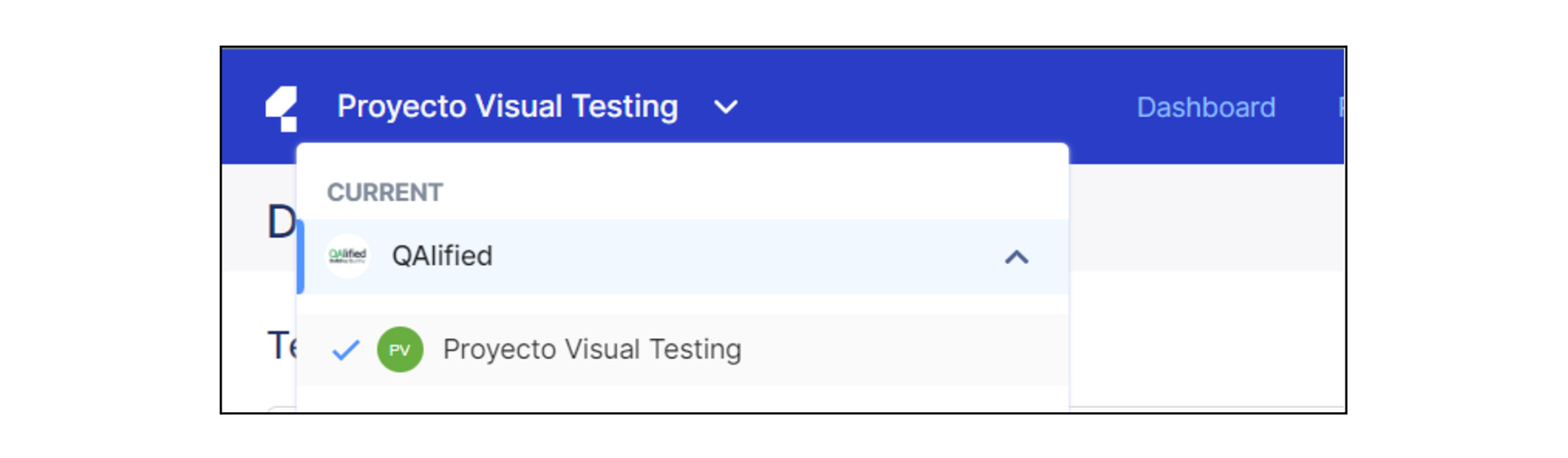 Project visual testing